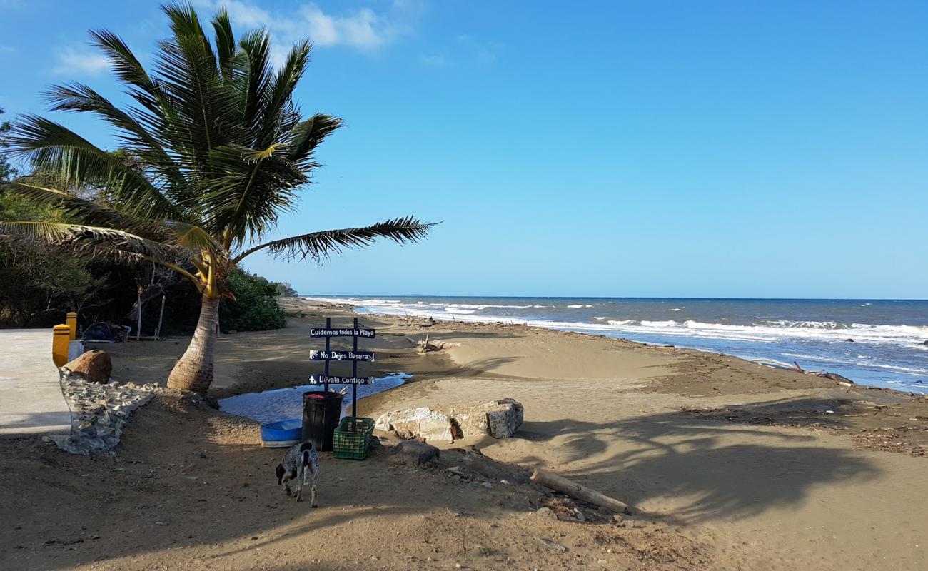 Bull Beach'in fotoğrafı kahverengi kum yüzey ile