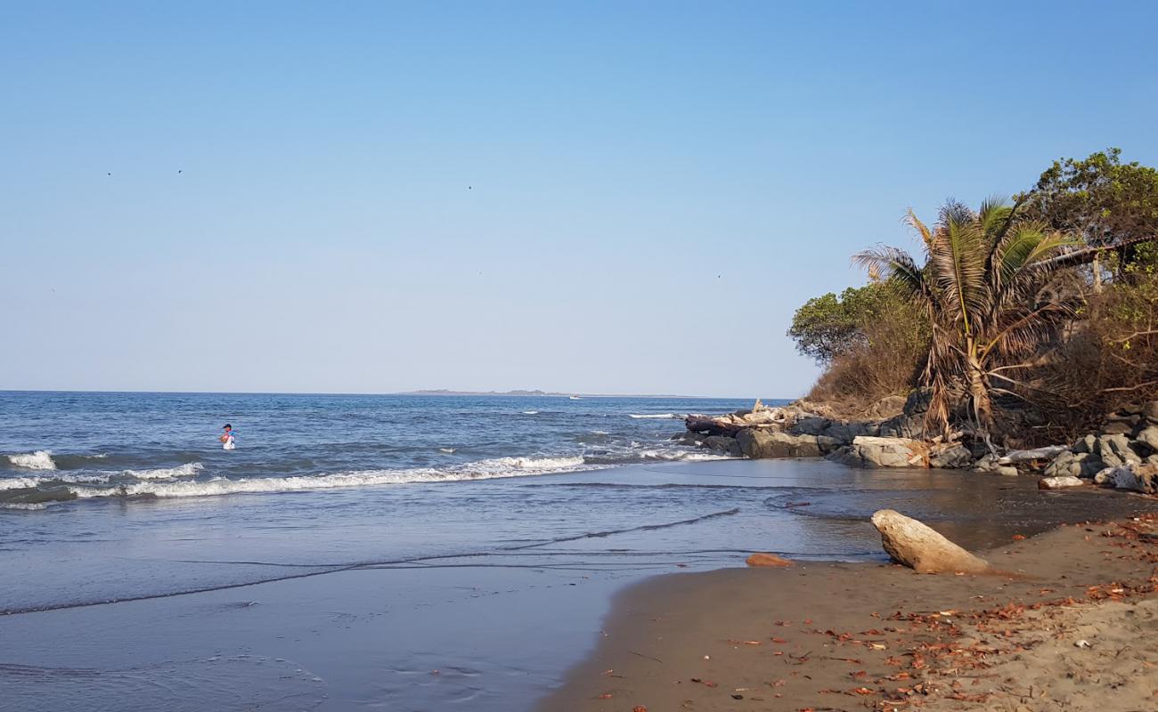Beach Point Tiger'in fotoğrafı kahverengi kum yüzey ile
