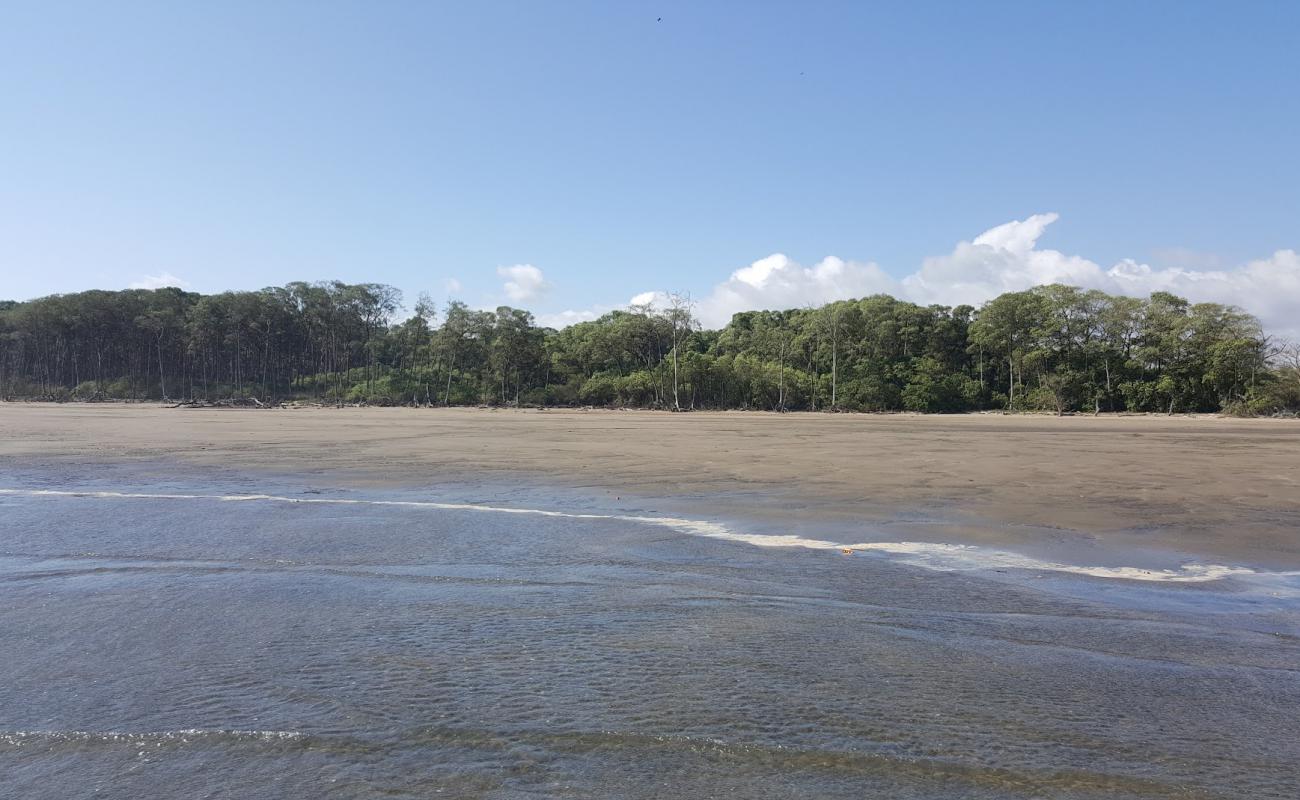 Playlita Las Marinas'in fotoğrafı kahverengi kum yüzey ile