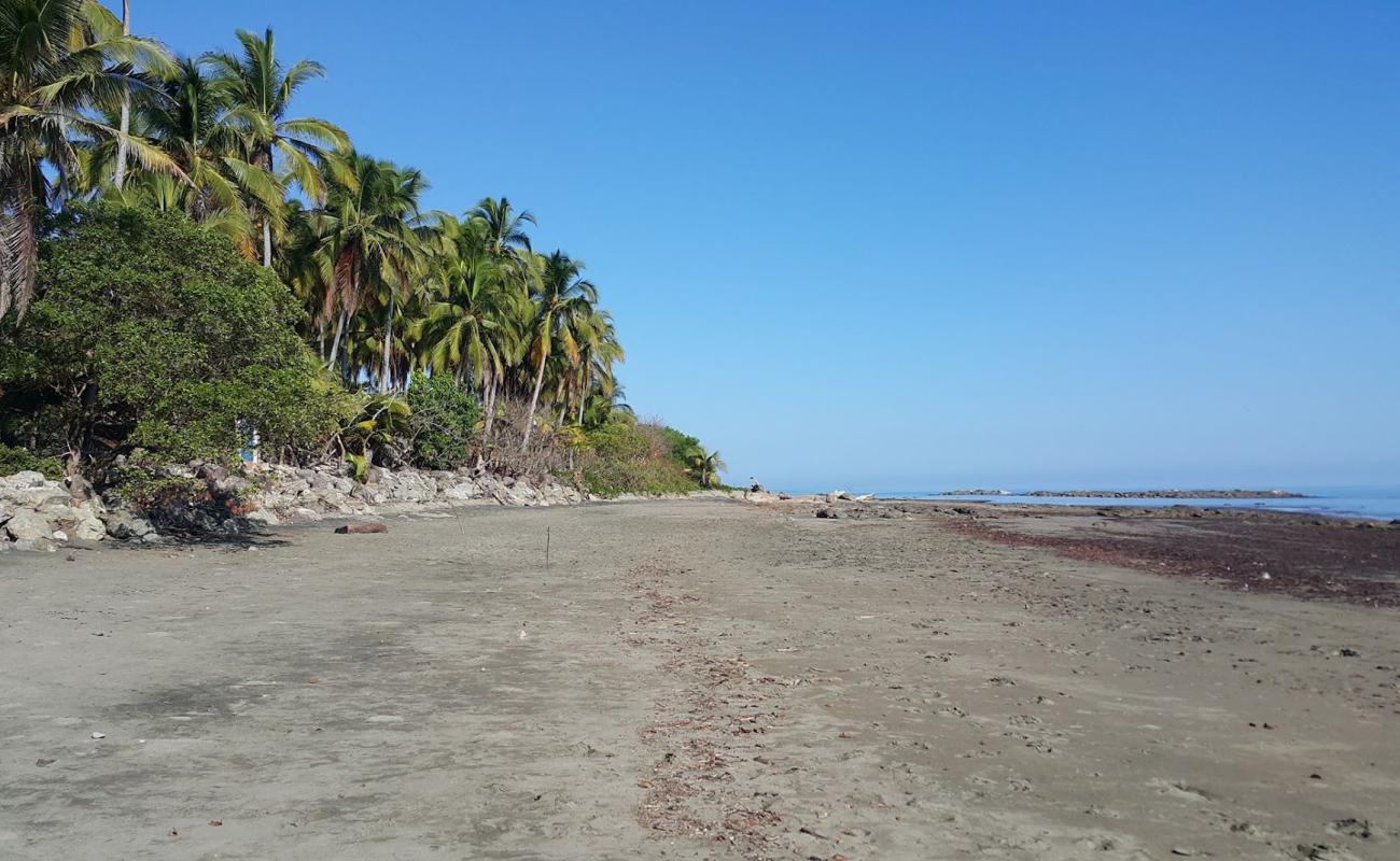 Candelaria Beach II'in fotoğrafı kahverengi kum yüzey ile