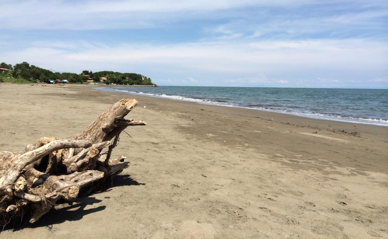 Estero Beach'in fotoğrafı kahverengi kum yüzey ile