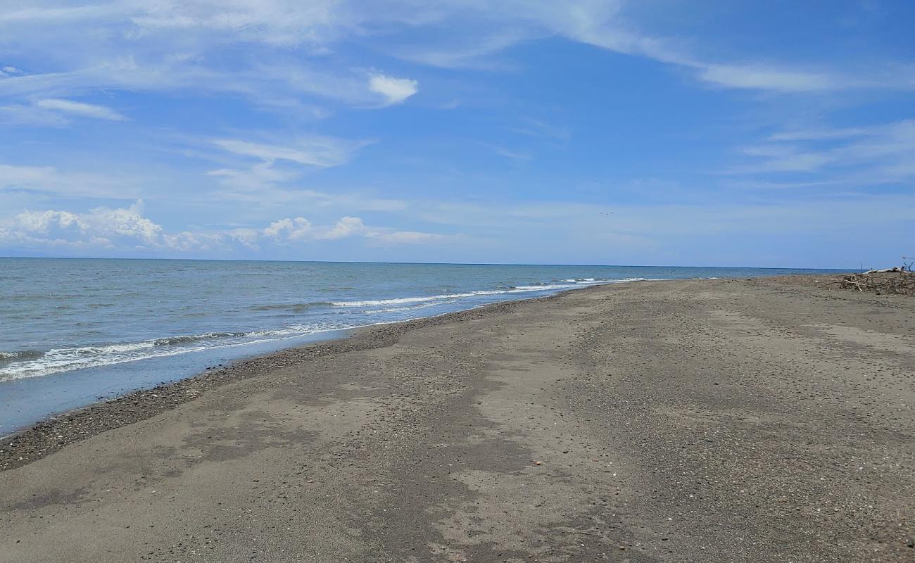 Puerto Guarare Beach'in fotoğrafı kahverengi kum yüzey ile
