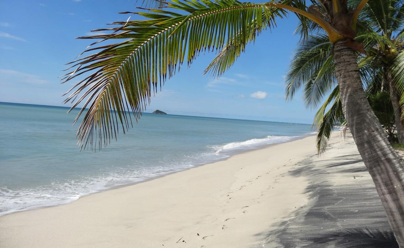 Santa Clara Beach'in fotoğrafı parlak kum yüzey ile