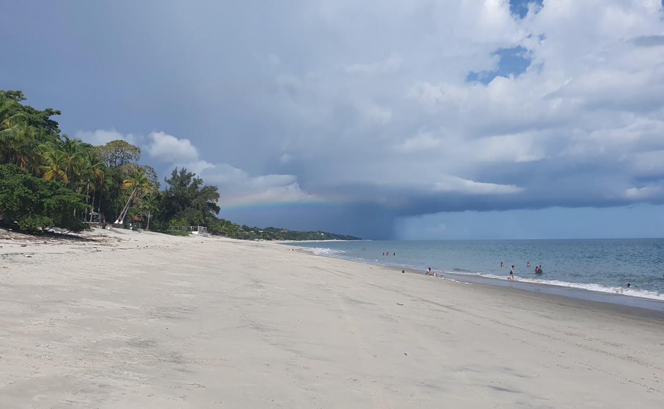 Bijao Beach'in fotoğrafı açık bej kum yüzey ile