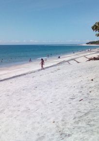 Bijao