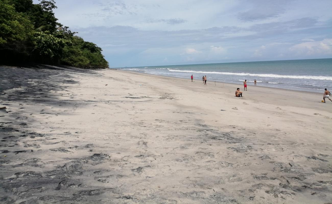Los Panama Beach'in fotoğrafı gri kum yüzey ile