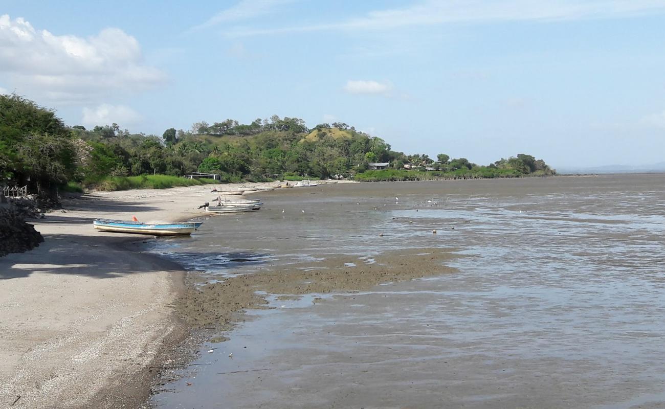 Leona Beach'in fotoğrafı gri kum yüzey ile