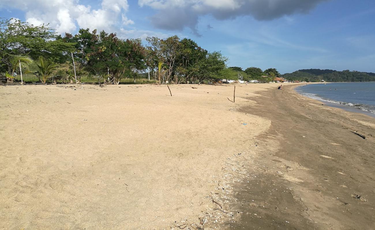 Veracruz Beach'in fotoğrafı parlak kum yüzey ile