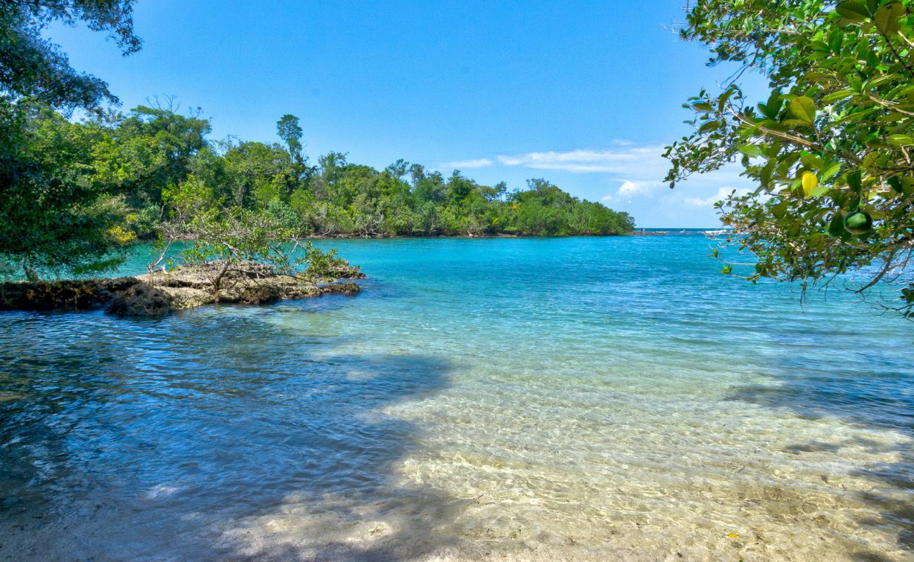 Piscina Beach'in fotoğrafı parlak kum yüzey ile