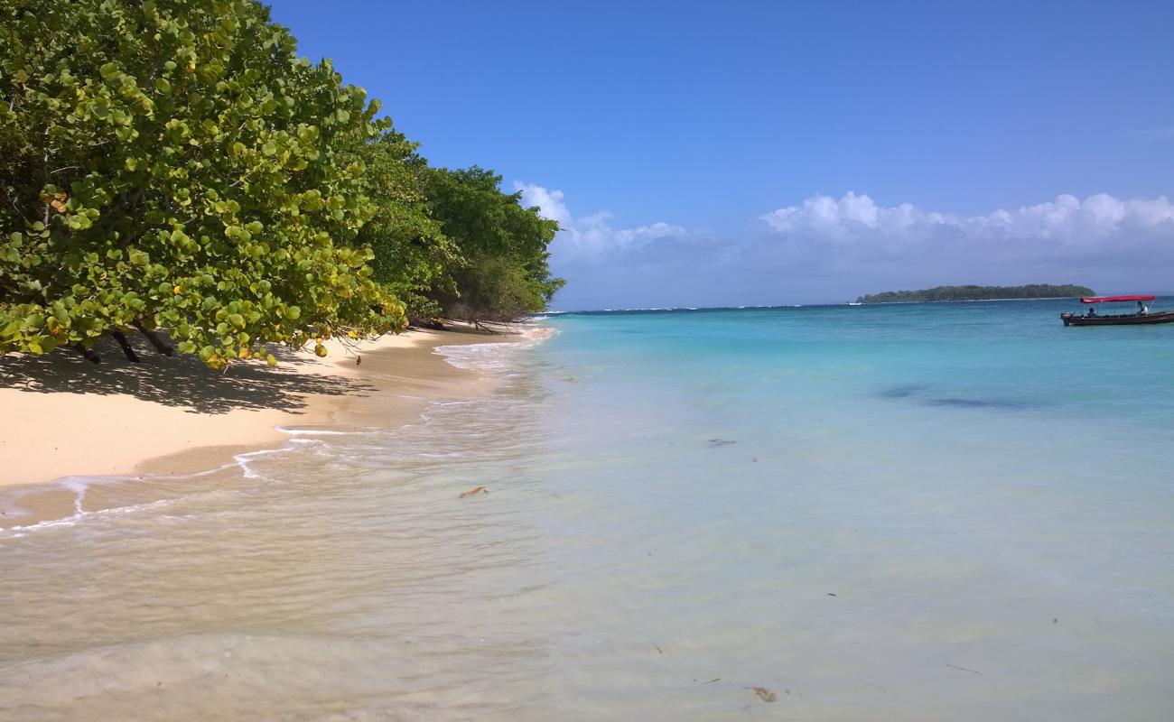 Cayo Zapatilla Beach II'in fotoğrafı parlak kum yüzey ile