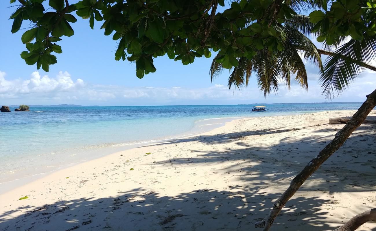 Cayo Zapatilla Beach'in fotoğrafı parlak kum yüzey ile