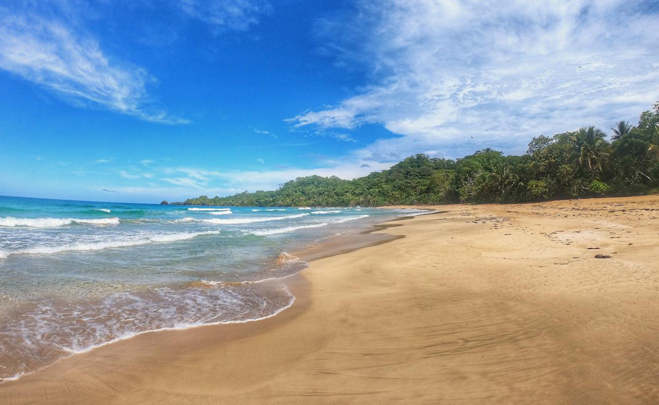 Wizard Beach'in fotoğrafı açık bej kum yüzey ile