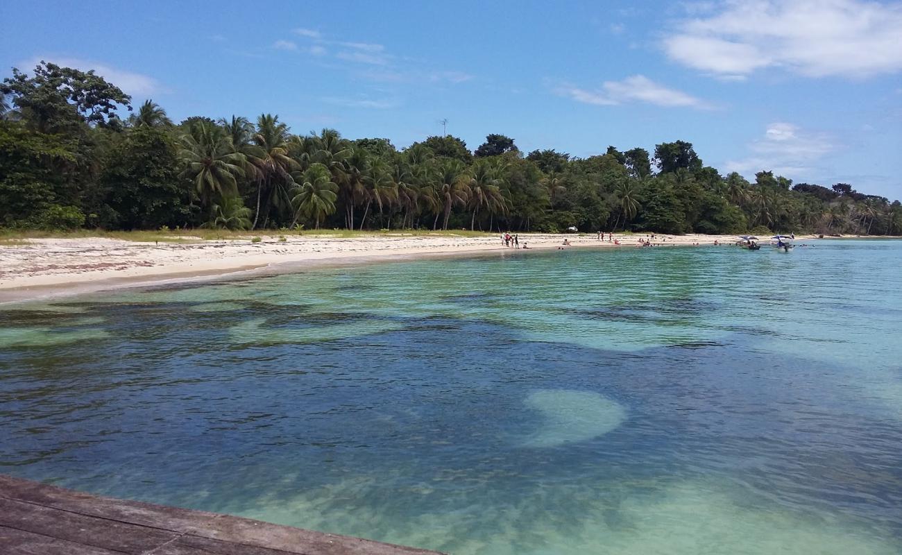 Salt Creek Beach'in fotoğrafı açık bej kum yüzey ile