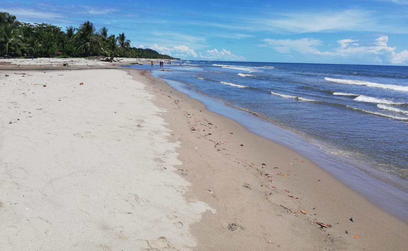 Calovebora Beach'in fotoğrafı parlak kum yüzey ile