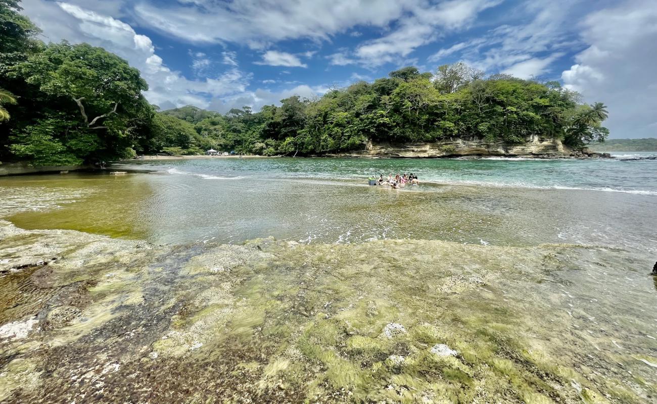 Tortuguilla Beach'in fotoğrafı bej kum ve kayalar yüzey ile