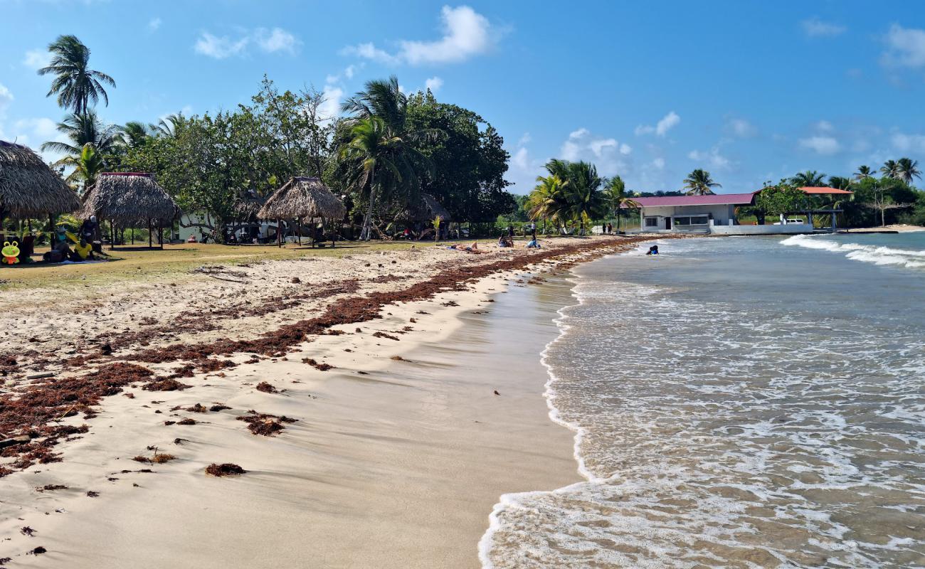Fort Sherman Beach'in fotoğrafı açık bej kum yüzey ile