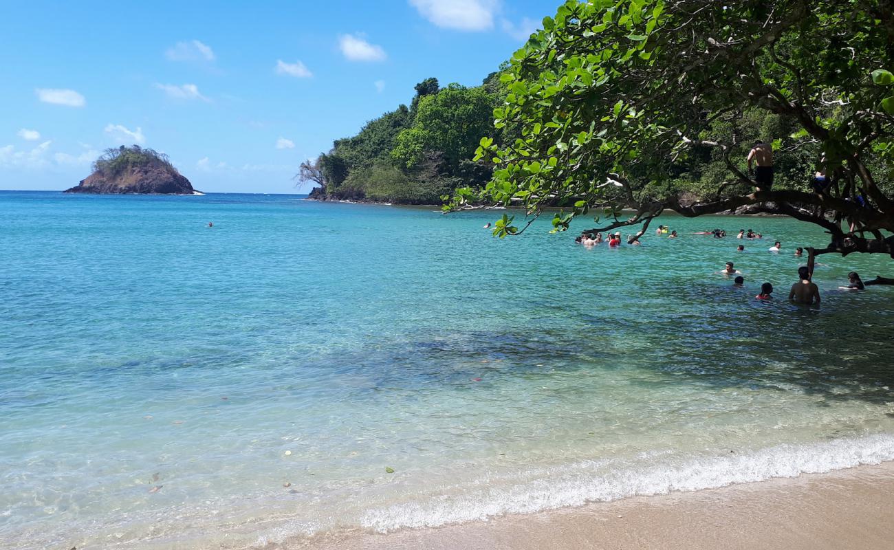 Huerta Portobelo Beach'in fotoğrafı açık bej kum yüzey ile