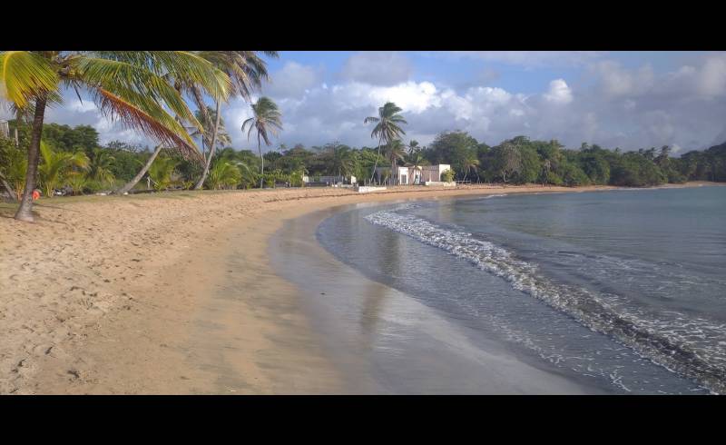 Damas Beach'in fotoğrafı parlak kum yüzey ile