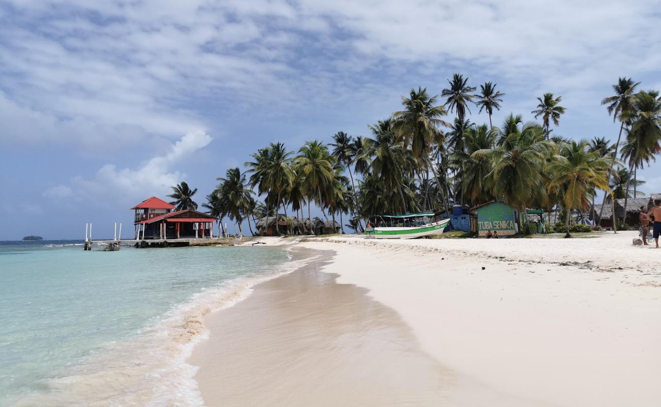 Islas Franklin Beach'in fotoğrafı i̇nce bej kum yüzey ile