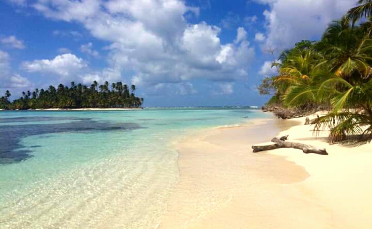 Iguana island beach'in fotoğrafı i̇nce beyaz kum yüzey ile