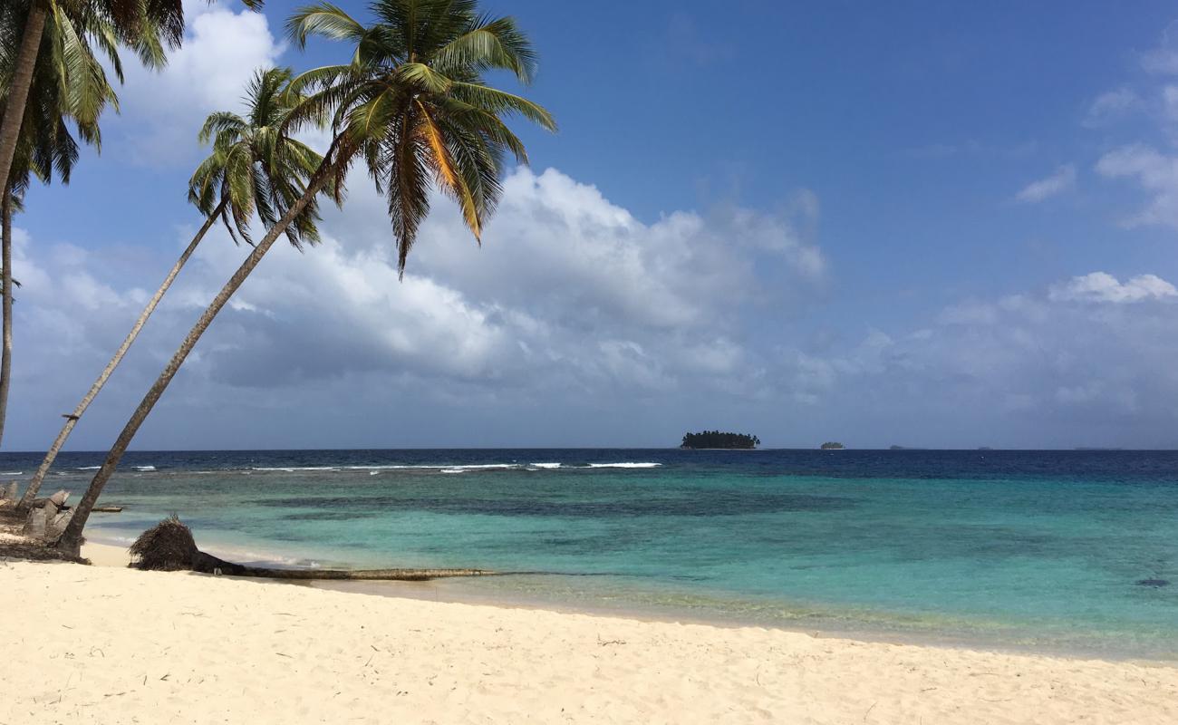 Guna Yala Gulf island'in fotoğrafı beyaz kum yüzey ile