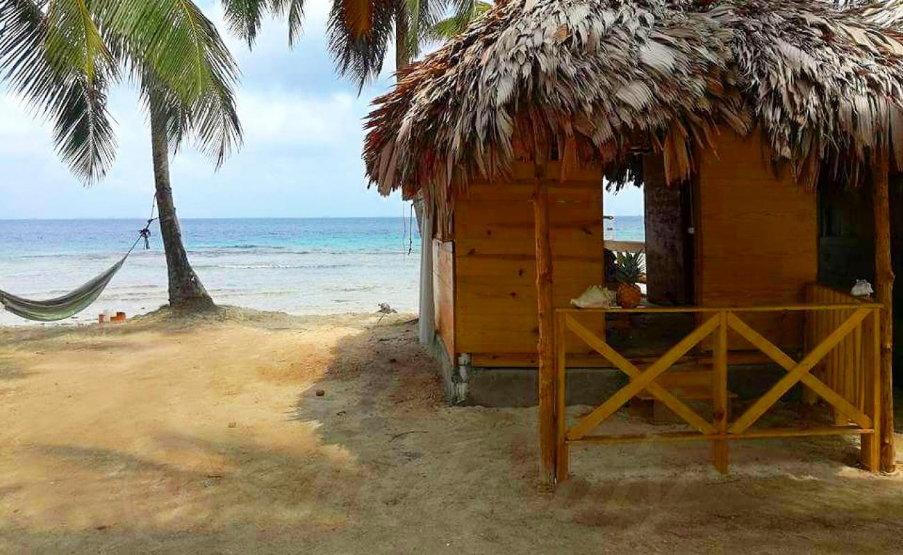 San Blas Pty beach'in fotoğrafı parlak ince kum yüzey ile