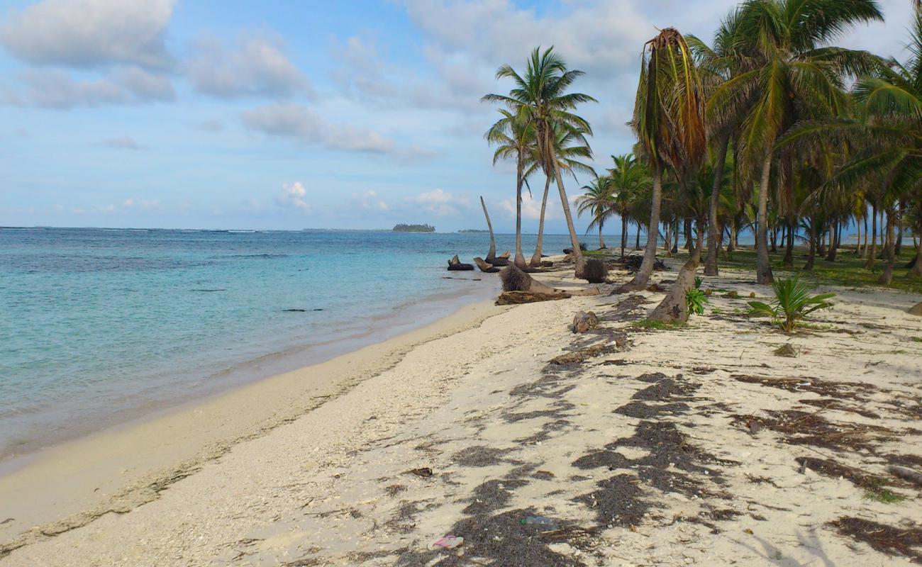 Curvaceous beach'in fotoğrafı i̇nce beyaz kum yüzey ile