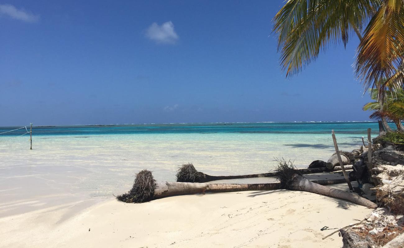 Turtle Island beach'in fotoğrafı i̇nce beyaz kum yüzey ile