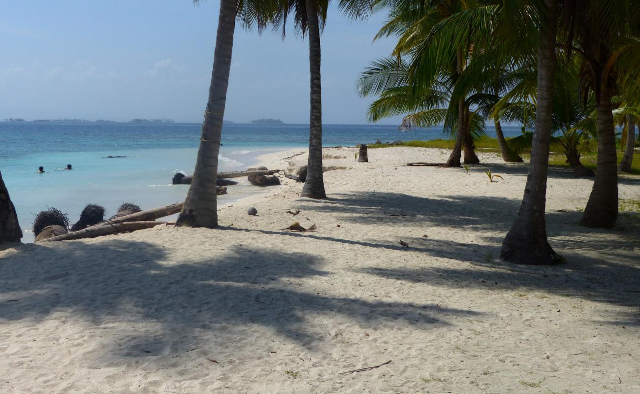 Saler beach'in fotoğrafı beyaz kum yüzey ile