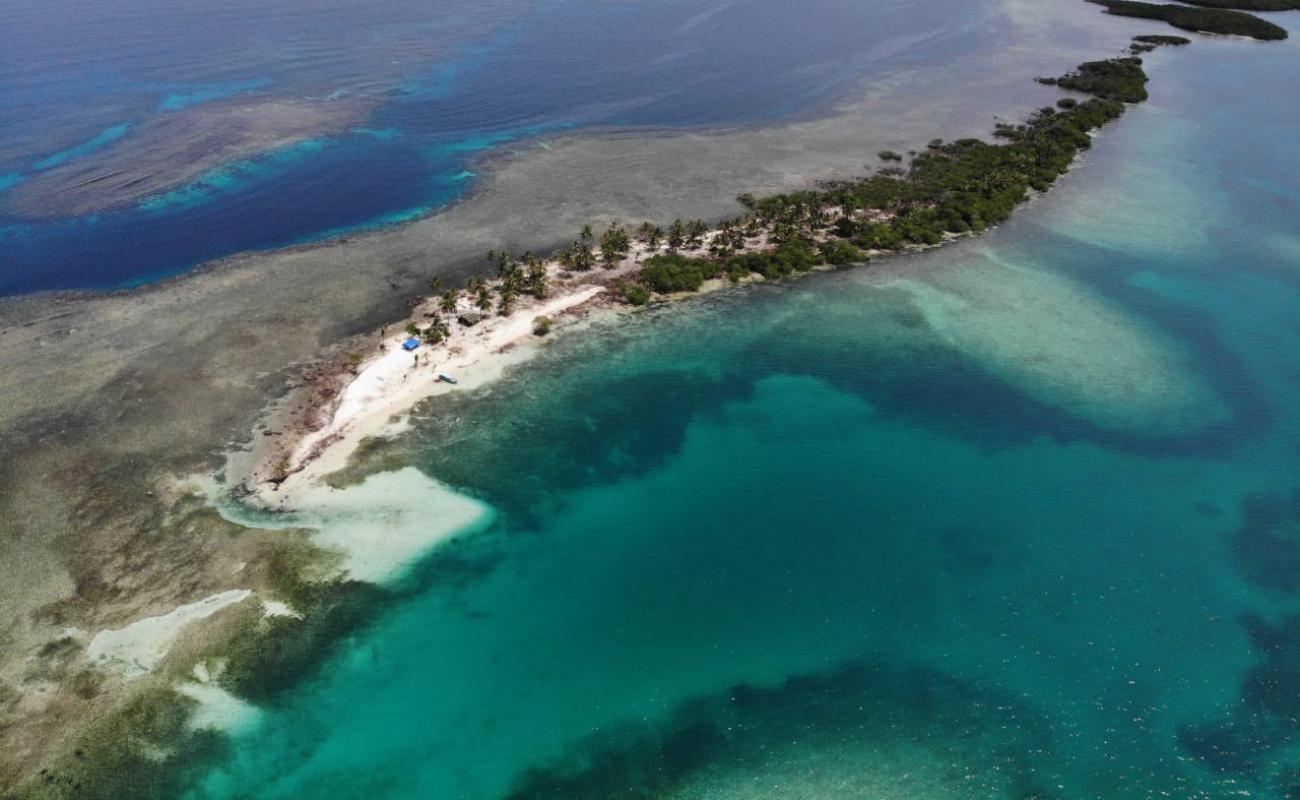 Coral Island beach'in fotoğrafı beyaz kum yüzey ile