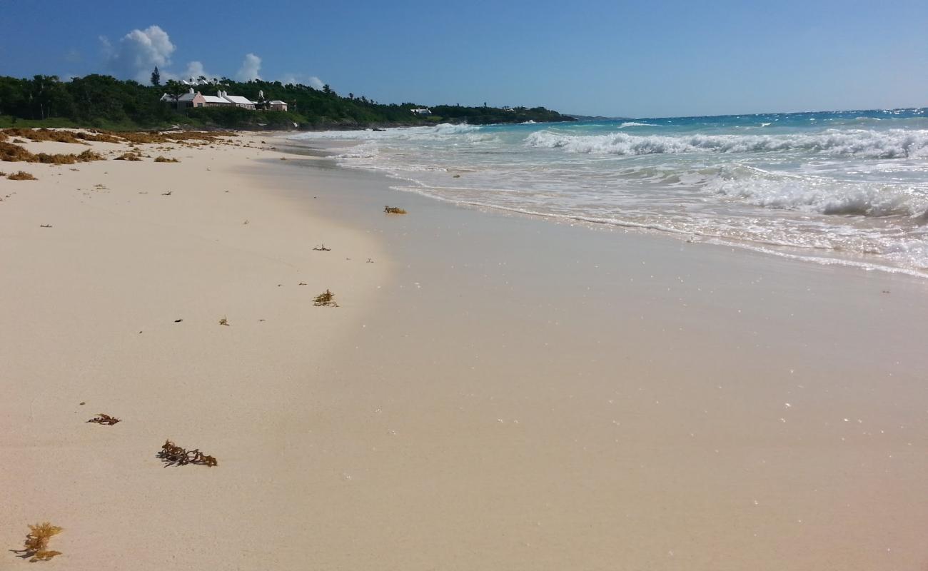 Grape Bay Beach'in fotoğrafı parlak ince kum yüzey ile