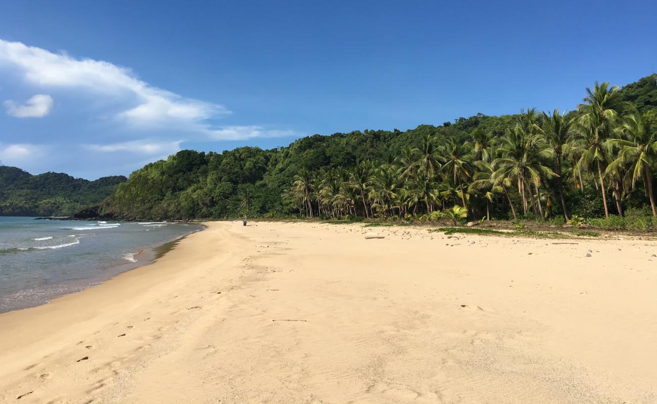 Mariposa Beach'in fotoğrafı açık bej kum yüzey ile