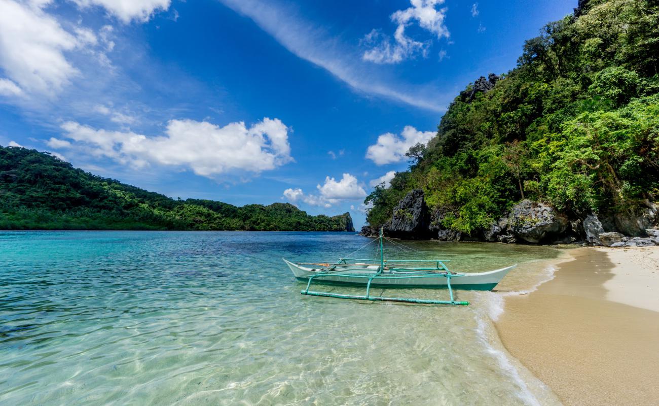 Bakal Island'in fotoğrafı açık bej kum yüzey ile