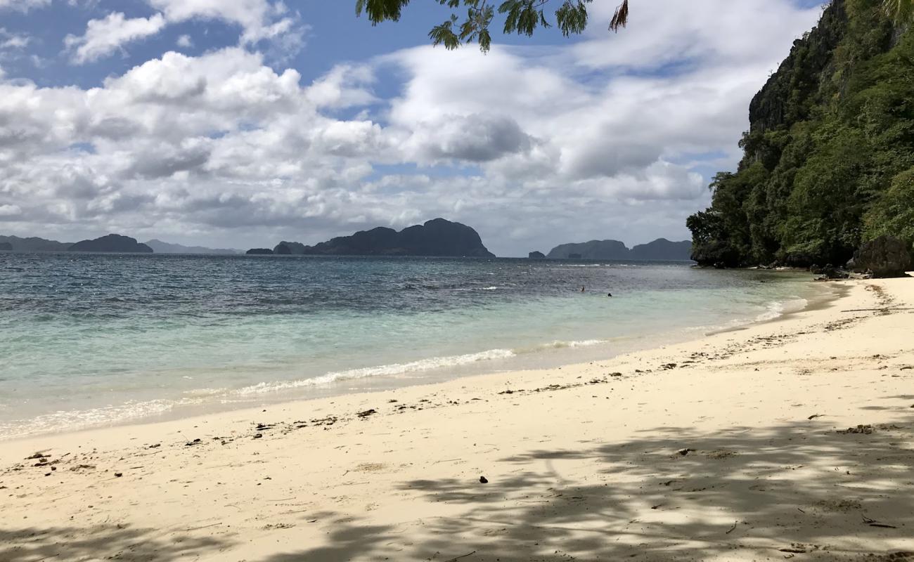 Pasandigan Cove Beach'in fotoğrafı açık bej kum yüzey ile
