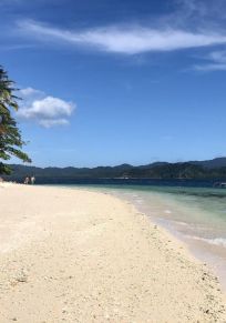 Palawan Adası