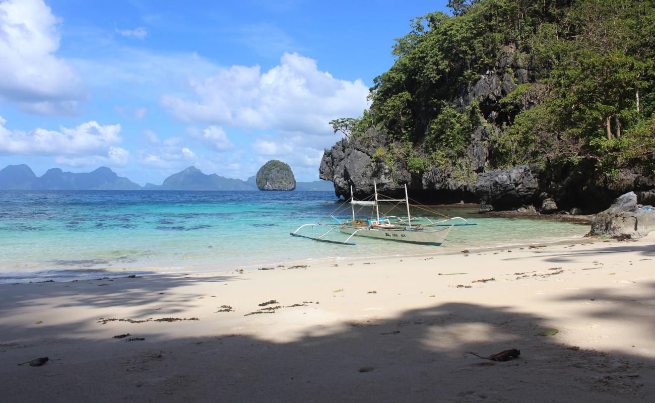 Cove El Nido Beach'in fotoğrafı parlak kum yüzey ile