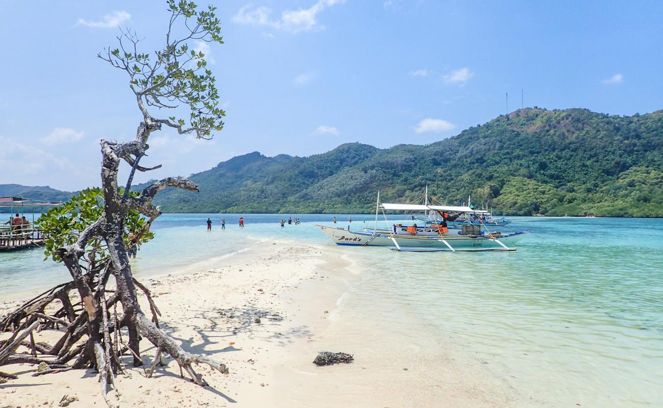 Snake Island Beach'in fotoğrafı açık bej kum yüzey ile