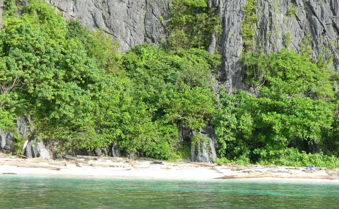 Cagbantang Beach'in fotoğrafı parlak kum yüzey ile