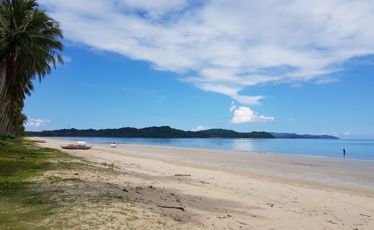 Pinagmangalokan Beach'in fotoğrafı i̇nce bej kum yüzey ile