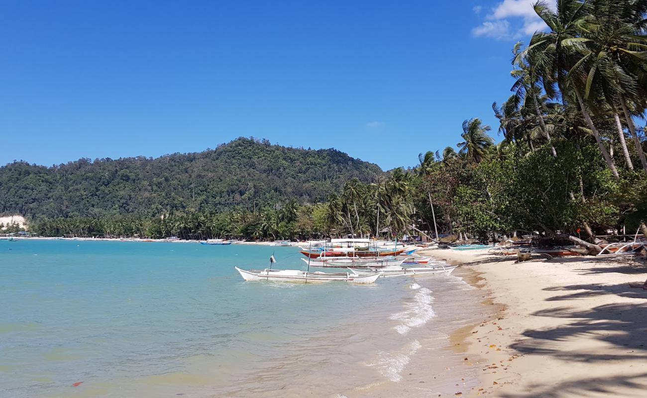 Port Barton Beach'in fotoğrafı parlak kum yüzey ile