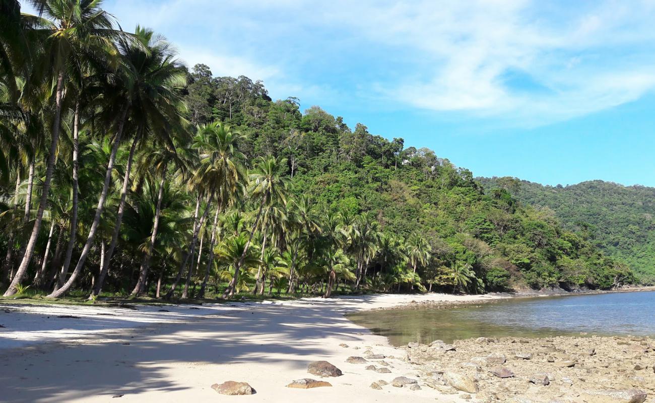 The Sanctuary Cove'in fotoğrafı açık bej kum yüzey ile