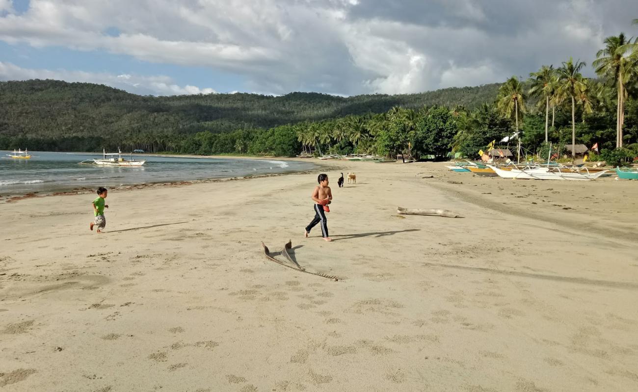 Talaudyong Beach'in fotoğrafı i̇nce bej kum yüzey ile