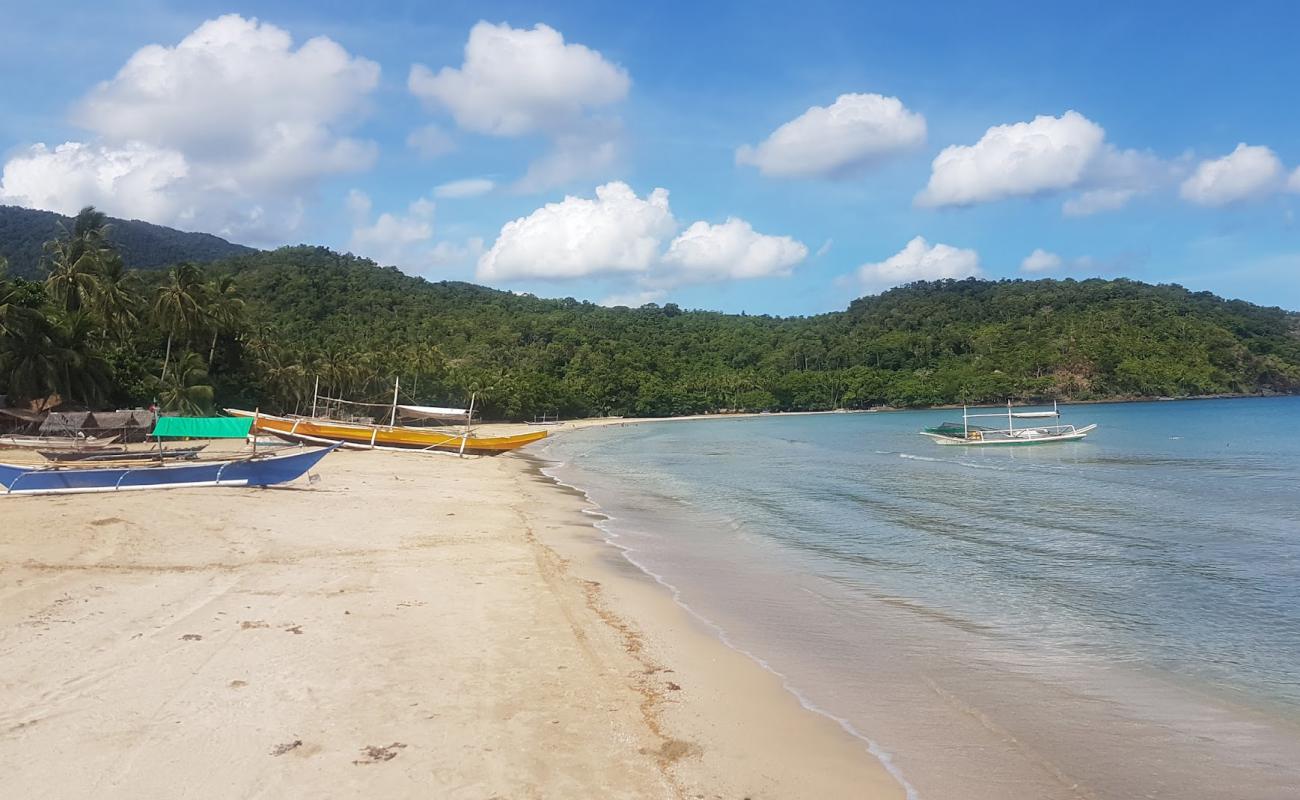 Nagtabon Plajı'in fotoğrafı parlak ince kum yüzey ile