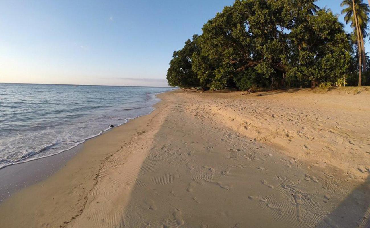 Glorie Beach'in fotoğrafı parlak ince kum yüzey ile