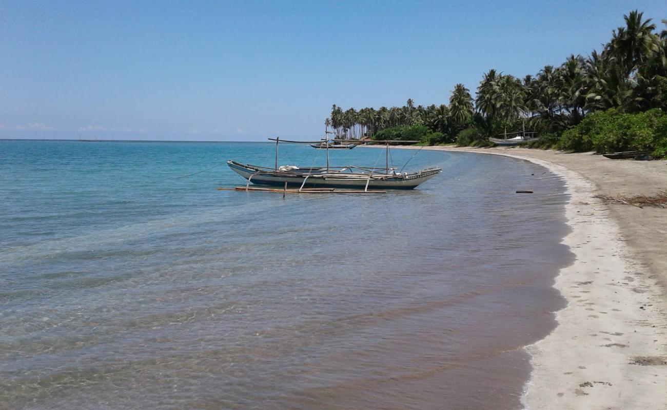 Punta Baja Beach'in fotoğrafı parlak kum yüzey ile