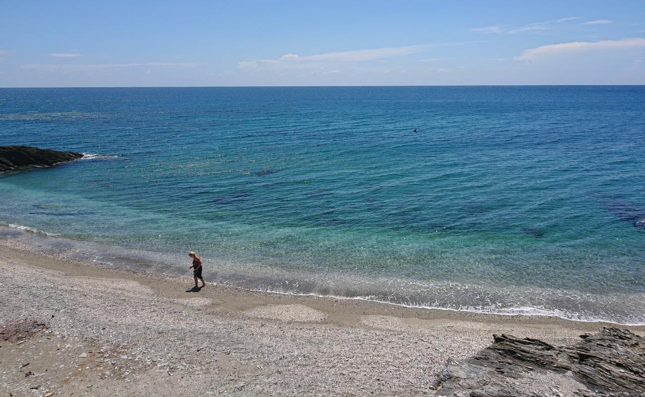 Campsite Thindog Beach'in fotoğrafı gri çakıl taşı yüzey ile