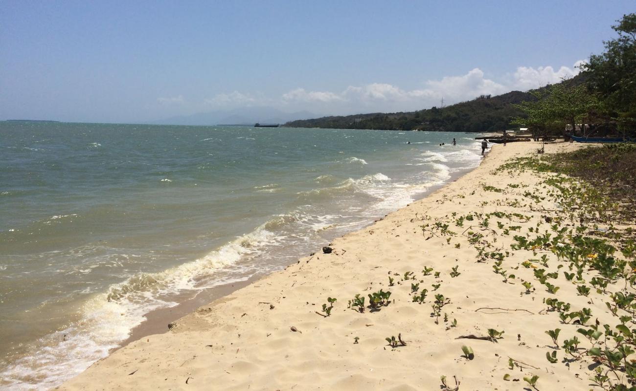 Coconut Beach'in fotoğrafı i̇nce bej kum yüzey ile