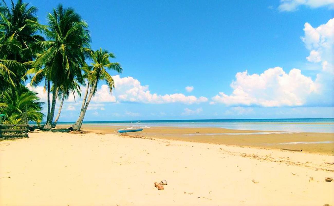 Salimbanog Beach'in fotoğrafı i̇nce bej kum yüzey ile