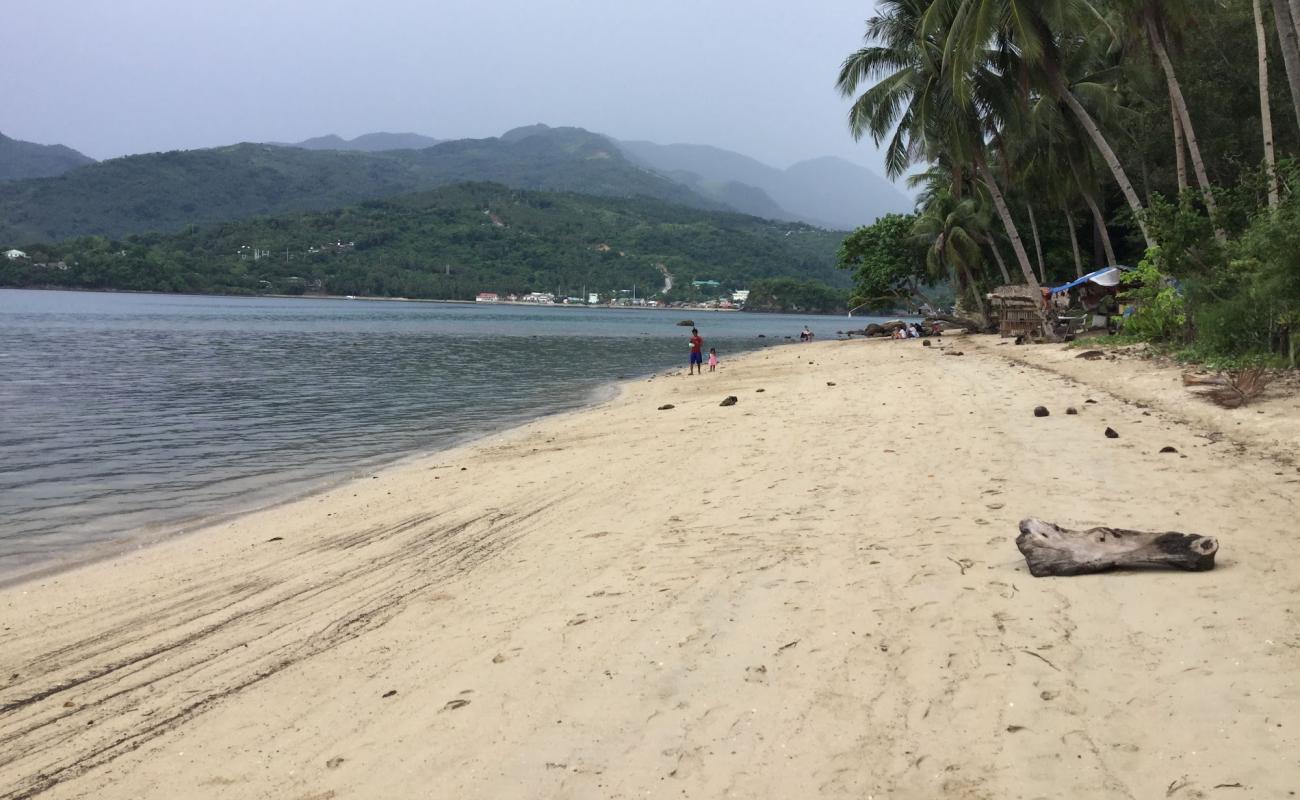 Encenada Beach'in fotoğrafı parlak kum yüzey ile