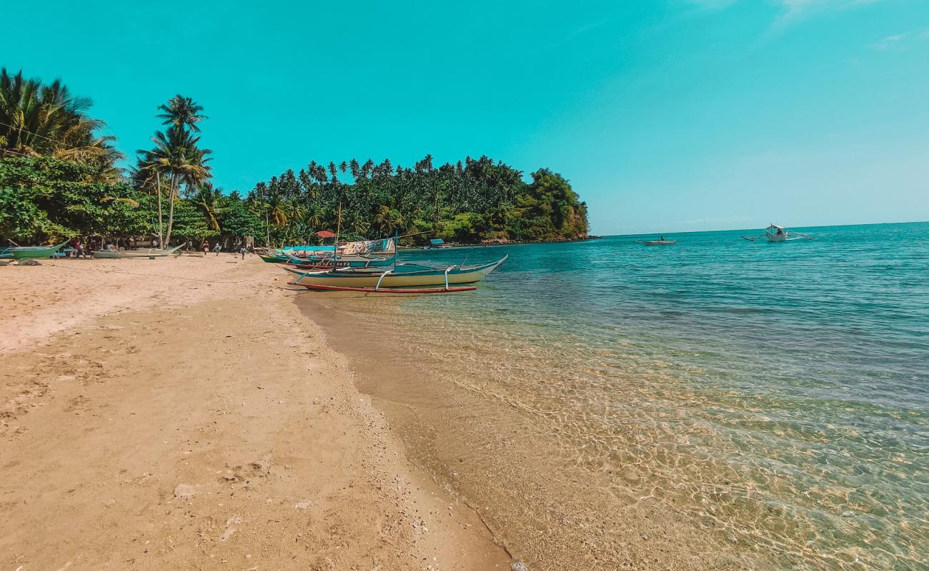 Polacay Beach'in fotoğrafı açık bej kum yüzey ile